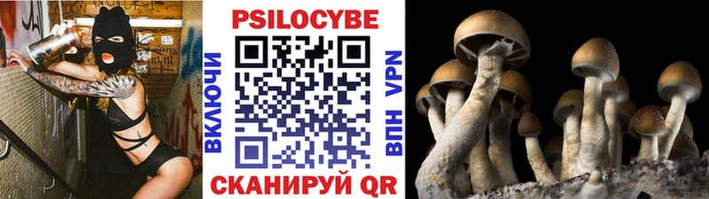 omg ссылки  цены наркотик  Среднеколымск  Псилоцибиновые грибы GOLDEN TEACHER 